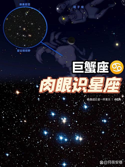 巨蟹座的主序星是什么？