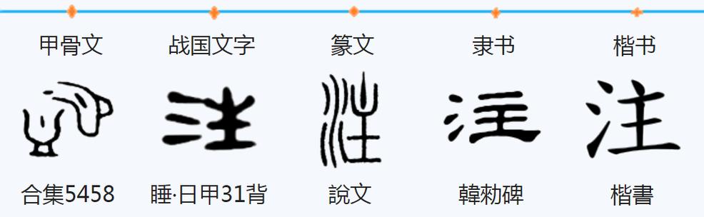 注字的含义是什么它属于五行中的哪一属性？