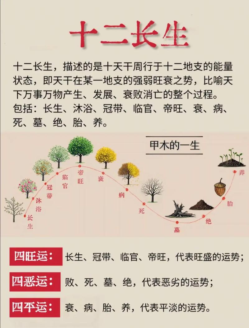 十二长生与五行之间有什么关联？