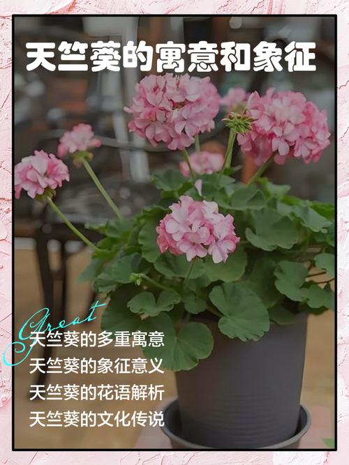 梦见自己种花是什么预兆或象征？