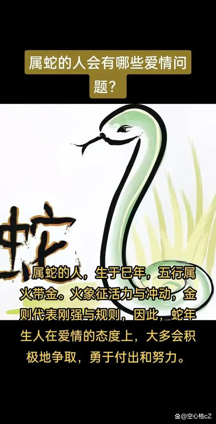 属蛇人今年运势中桃花运如何表现？