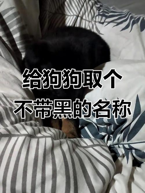 有哪些霸气带黑色的名字可依用来起名？