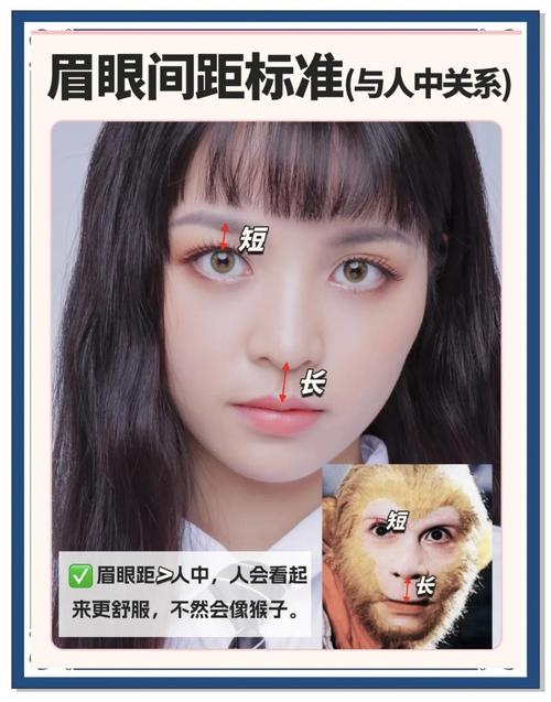 眉毛和眼睛之间标准距离是多少，如何画眉才能符合黄金比例？