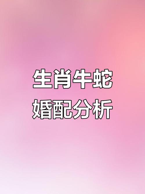 属牛和属蛇性格合不合，他们在一起合作会顺利吗？