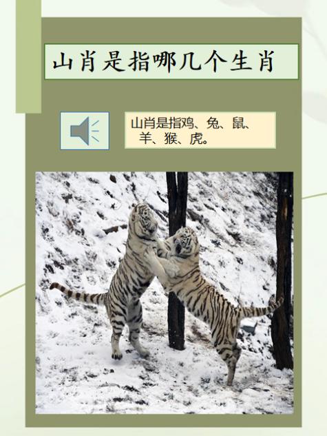 名落孙山指的是什么生肖，那它对应的动物尾巴长吗？