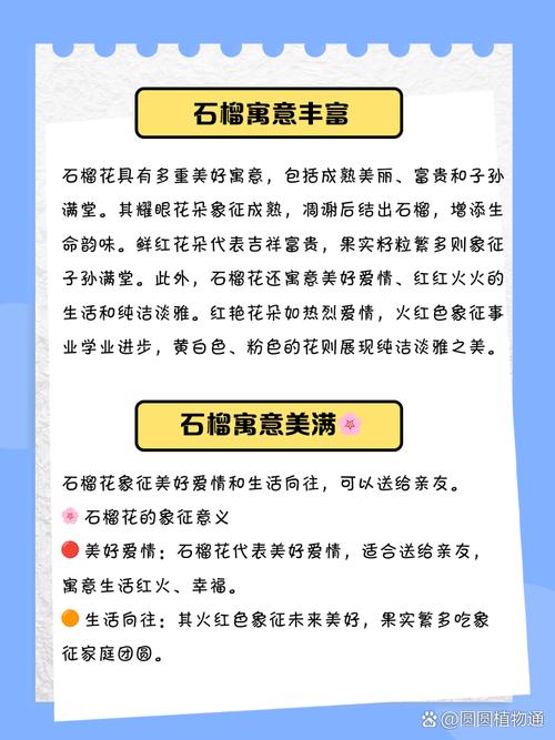 石榴花寓意是什么有什么特殊含义？