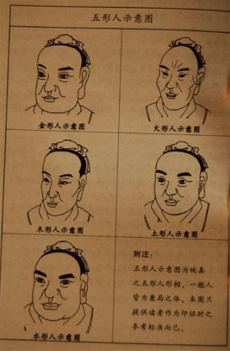 木型人面相有哪些特征能体现富贵？