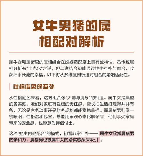 属猪男和属牛的婚姻配对是否合适，他们的关系如何？