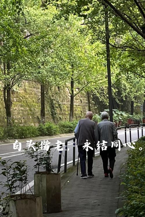 夫妻相守一生，有哪些经典句子可以表达相伴一生的情感？