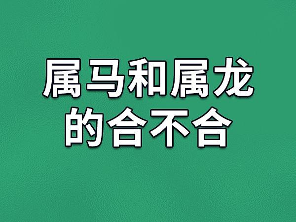 属龙和属马的在一起财运如何，合不合？