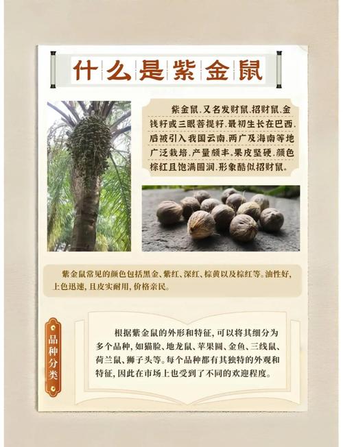1984年属鼠的人适合佩戴哪些招财配饰来提升财运呢？