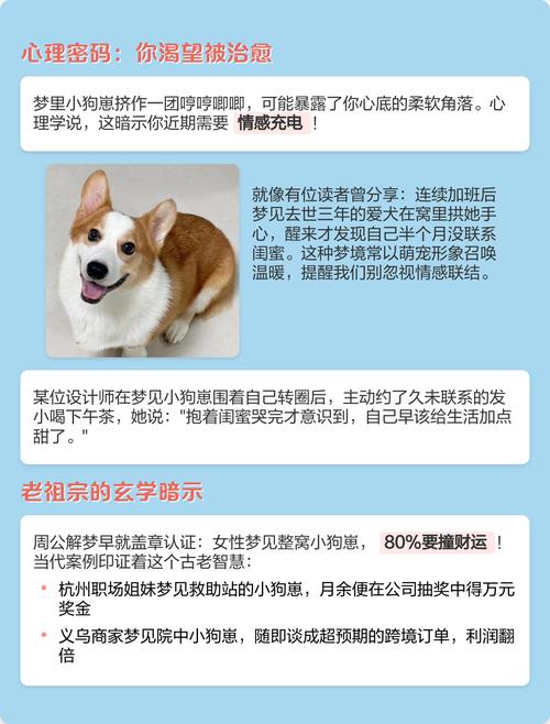 梦见小狗和婴儿有什么特殊预兆？这梦境有何特殊含义？