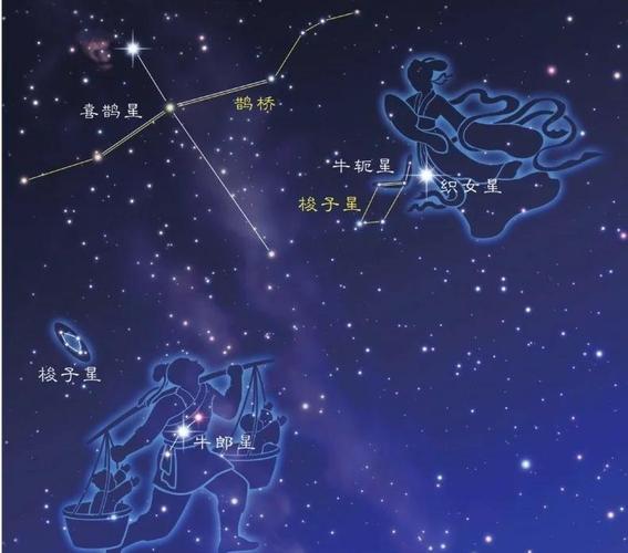 牛郎星究竟属于哪个星座？它位于哪个星座之中呢？