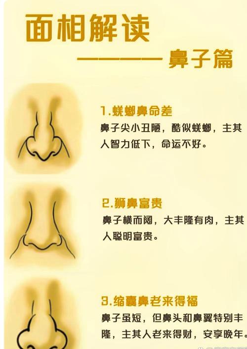 女性鼻子面相是否适合经商？