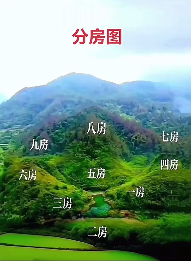 玄空大卦风水分房法具体是如何根据风水原理进行房间布局的？