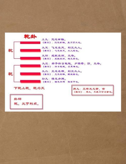 哪个生肖动物尾巴特长，言出祸随，乾卦六爻通圣德？