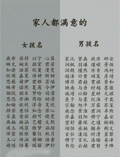 2024年出生的男孩取什么名字比较好呢？