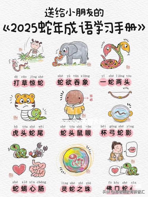 琳琅满目指的是哪个生肖？终于明白这个成语原来形容的是长尾动物！