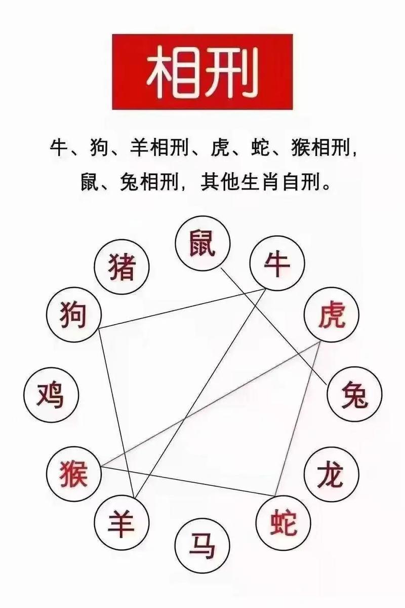 属相相刑具体指的是什么？在十二生肖中，哪些组合会相刑？