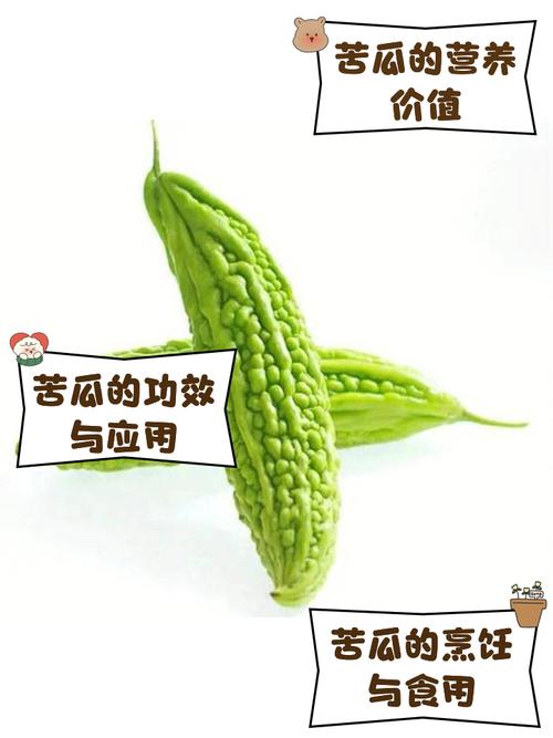 女人梦见苦瓜预示着什么征兆？有什么特殊含义？