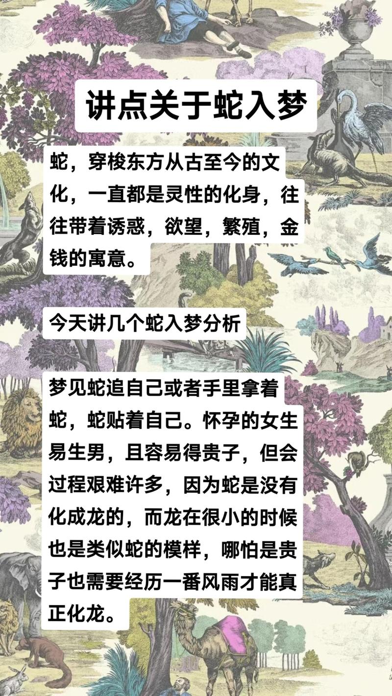 女人梦见又粗又大白蛇，这是不是预示着什么？