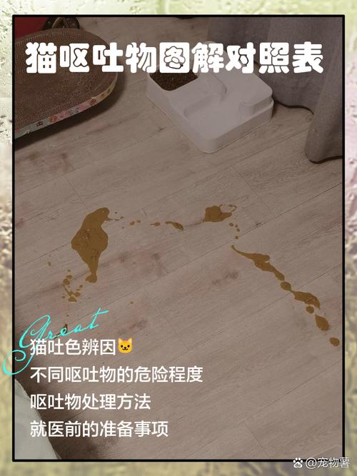 梦见动物排泄物预示着什么是好是坏？
