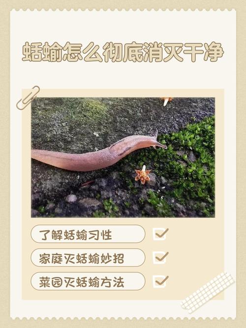 蚰蜒是否会自主离开住宅，或着直接用手拍死它们梗为高效？