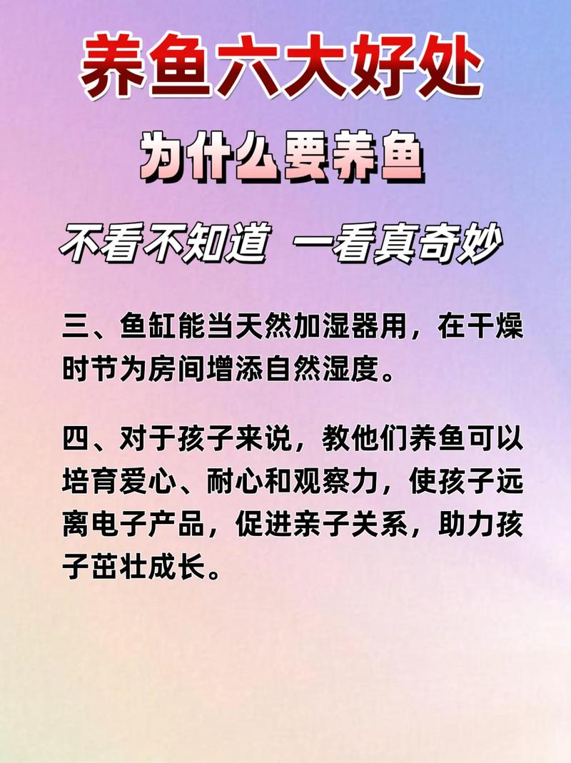 为什么人们常说养鱼会穷三年，这背后是不是真的会招来灾祸和破财？