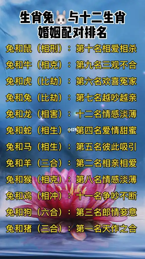 1987年属兔的人最佳配偶是谁？他们的命运有何特别之处？