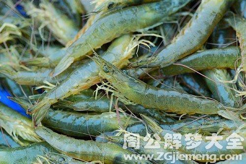 孕妇梦见大量虾子预示着什么含义？