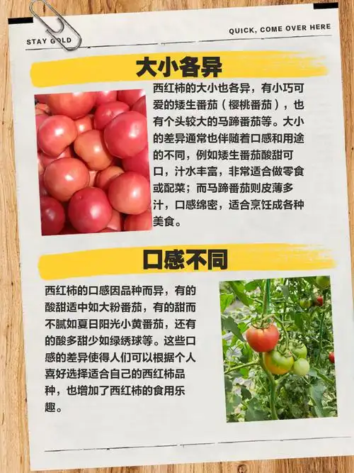 周公解梦：梦见西红柿有什么特殊预兆或含义？