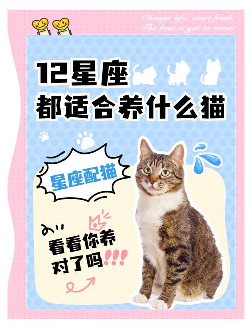 金牛座最偏爱哪种宠物，能成为其幸运宠物呢？
