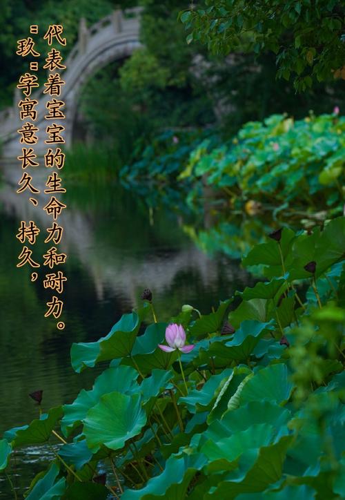 玖字寓意美好，五行属金，女孩名字中用玖字寓意如何？