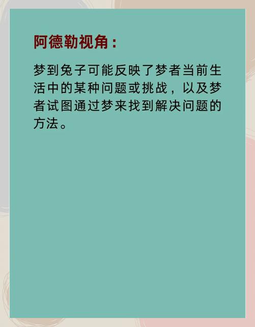 梦见打兔子打死了这梦境究竟预示着什么含义？