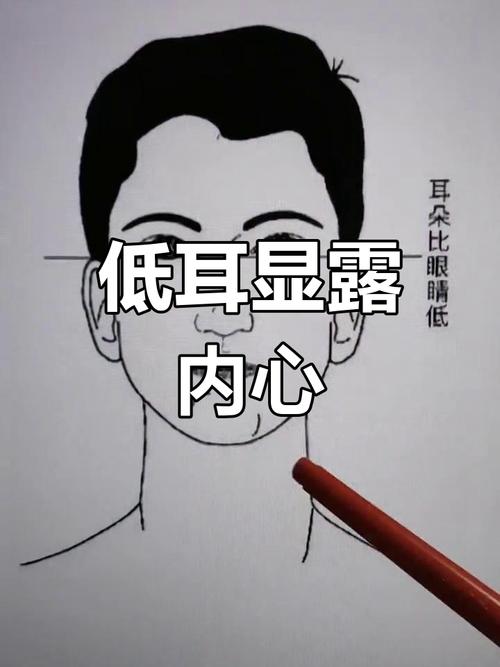 耳朵位置太低的面相特征是怎样的？