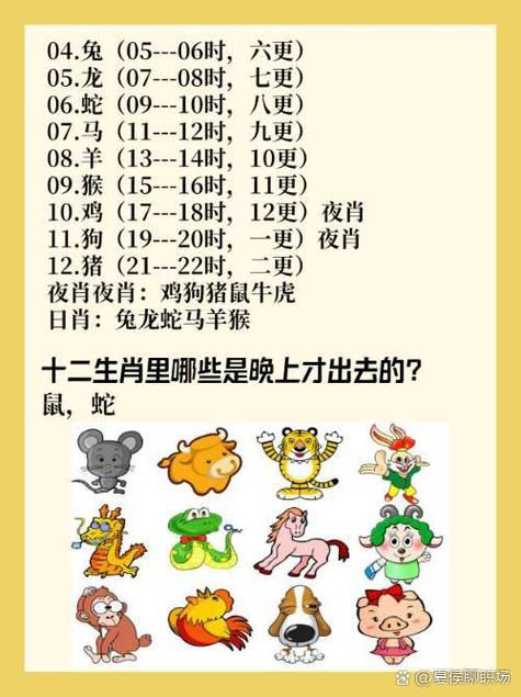 夜肖中包含哪些生肖，将夜肖指的是哪几个生肖？