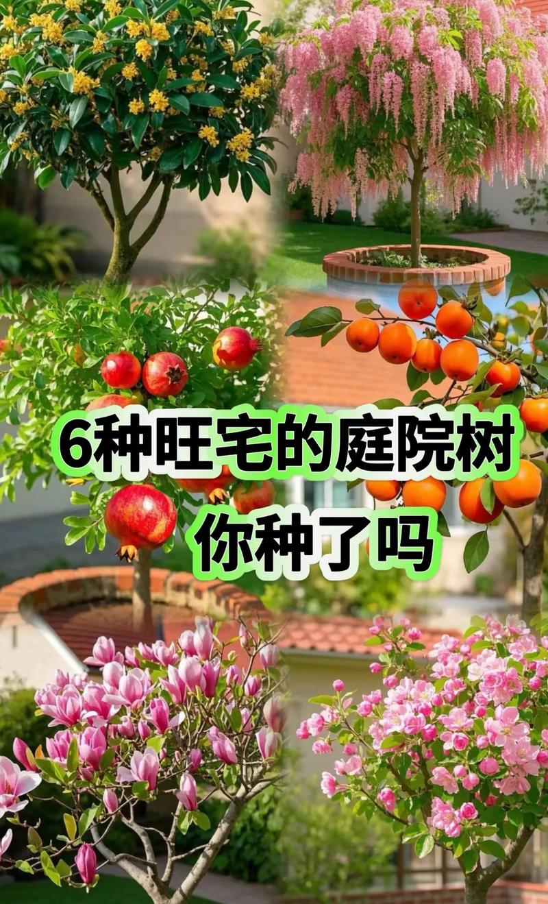 孕妇梦见花草树房子，怀孕孕妇梦见房子和树是什么预兆？