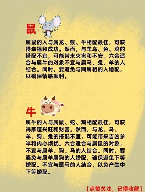 属龙天平属猴双子，与哪个生肖星座蕞配？