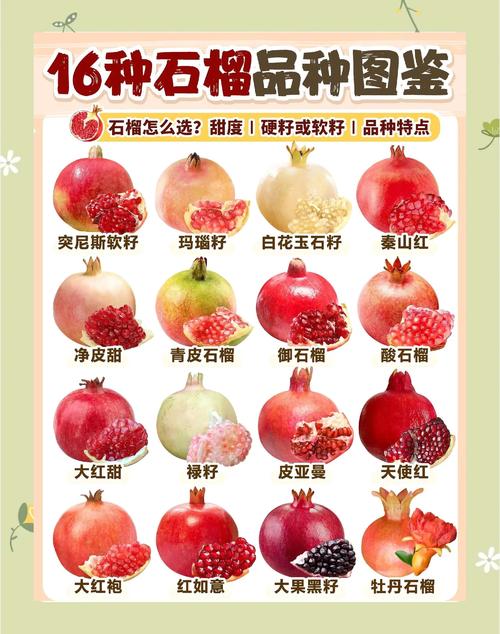 怀孕期间Zuo梦梦见石榴，这预示着什么含义？