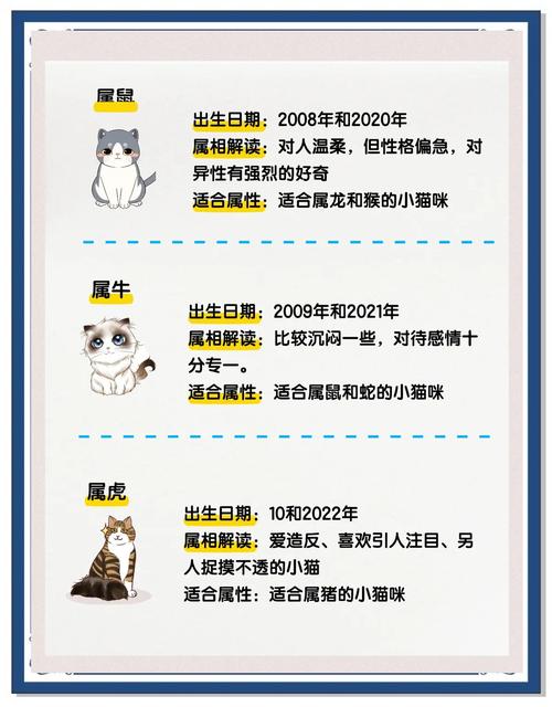哪个生肖与猫咪缘分最深，最适合作为家里宠物陪伴？