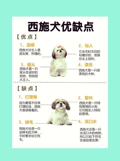 属狗的狮子座性格特点有哪些？