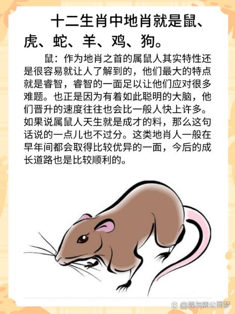 田间生肖究竟指的是哪一种动物，它属于十二生肖中的哪一个？