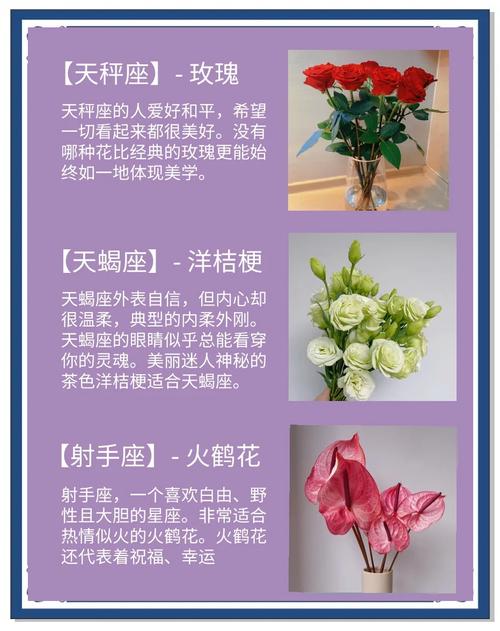十二星座分别养什么花可依旺财运？