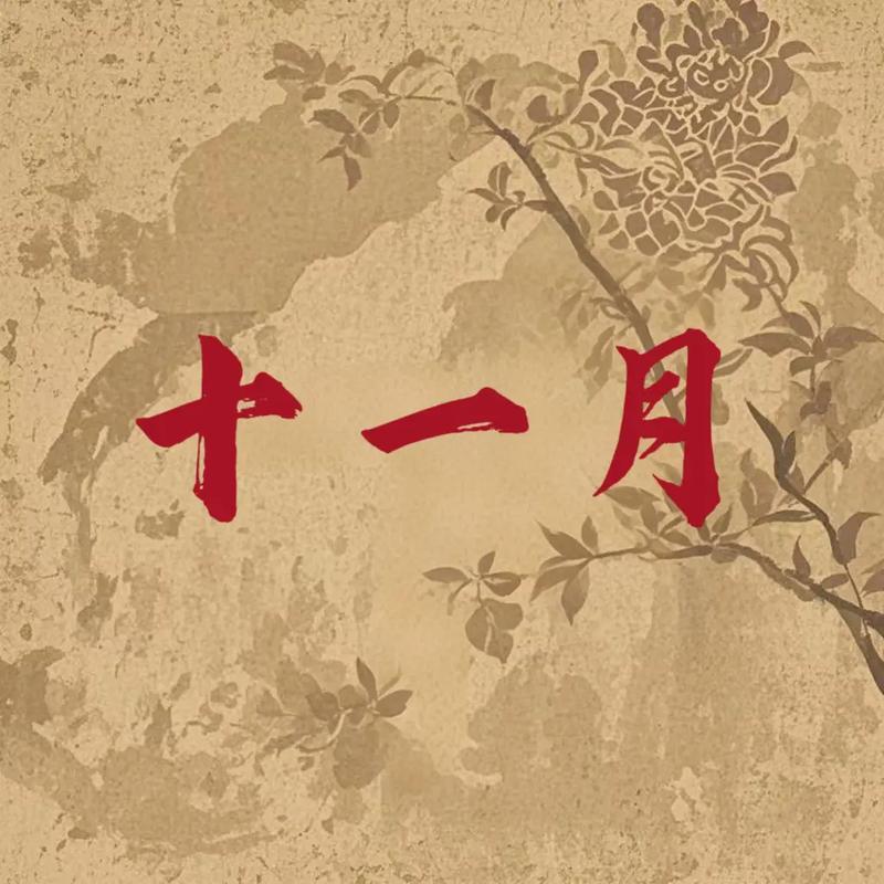 农历十一月初一出生的人是什么命？