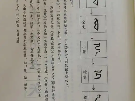 弓字五行究竟属于什么难道不是属木吗？