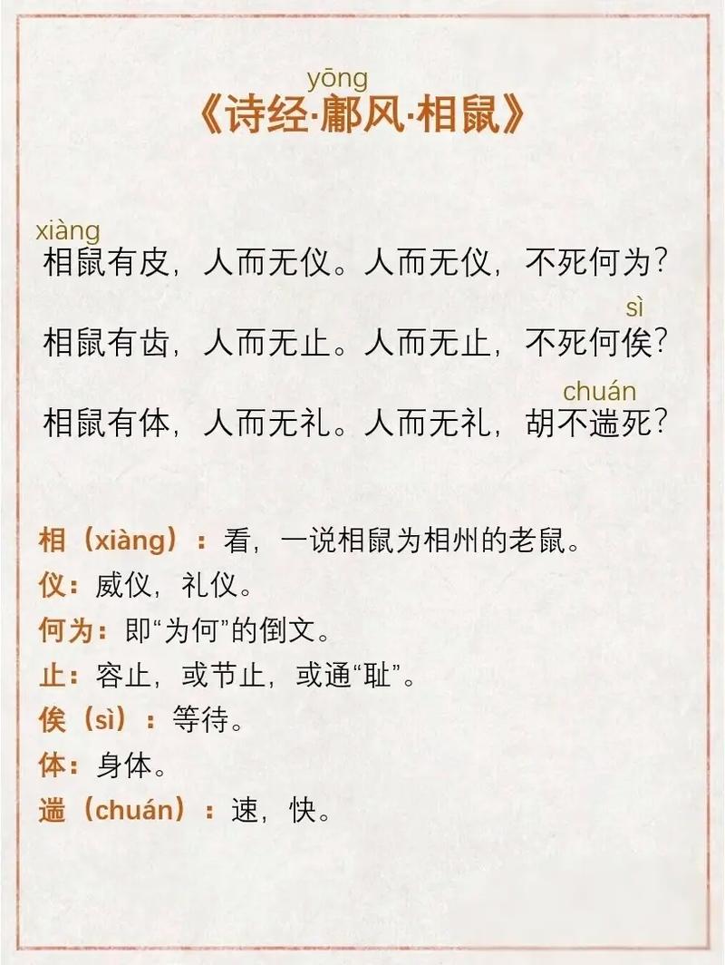 哪个生肖以相夫教子著称，在家庭中扮演着贤妻良母的角色？