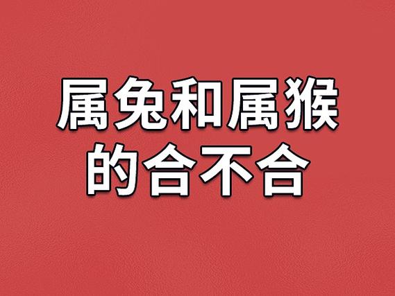 属猴父母和属兔孩子，这样的组合合适吗？