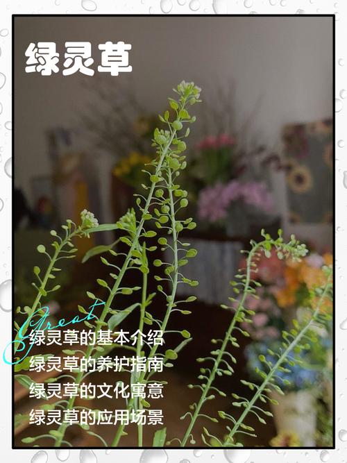 梦见身上被种草是什么征兆？预示着什么含义？