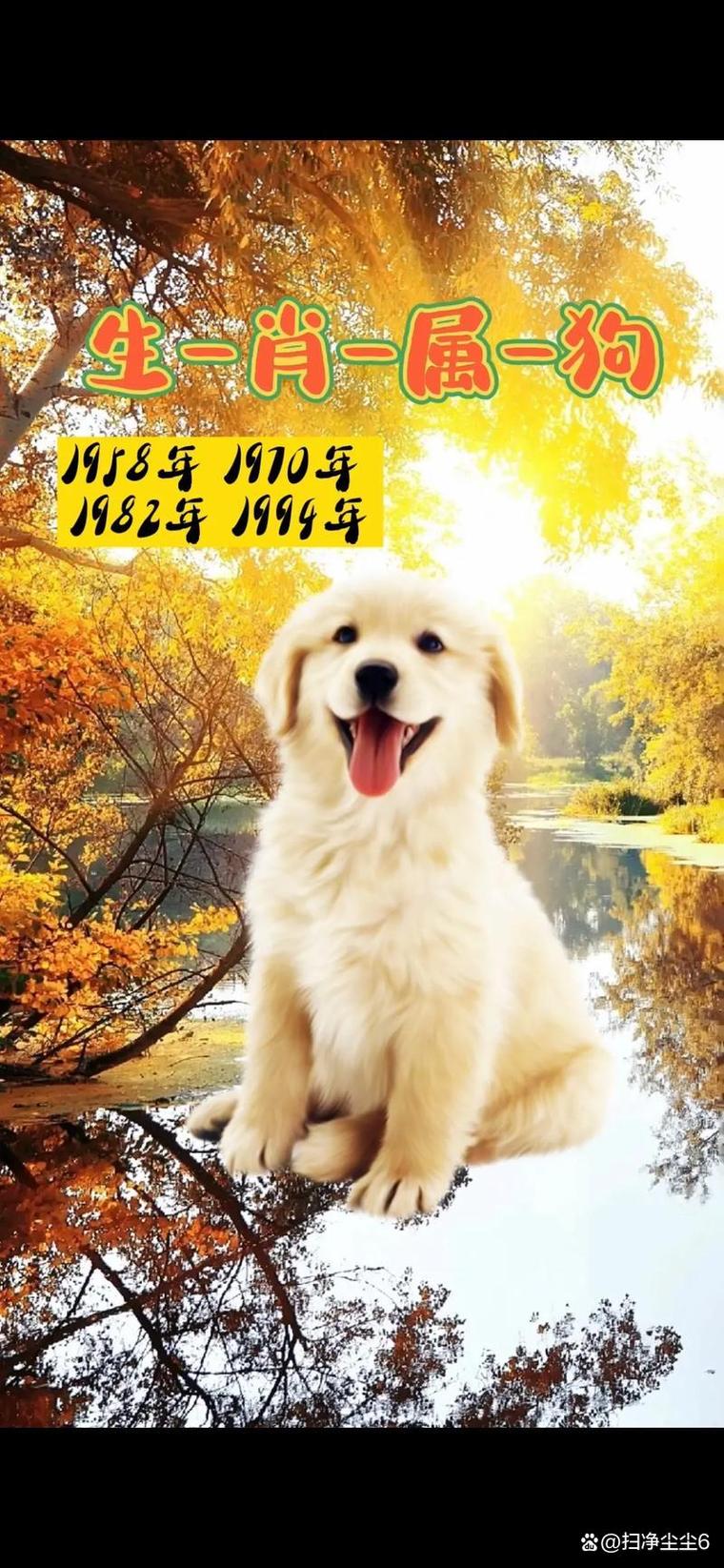 82年属狗人一生会遭遇几次重大灾难？