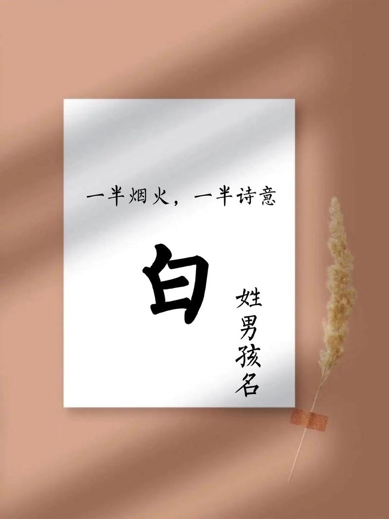 有没有适合姓白的男孩的古风两个字名字推荐？